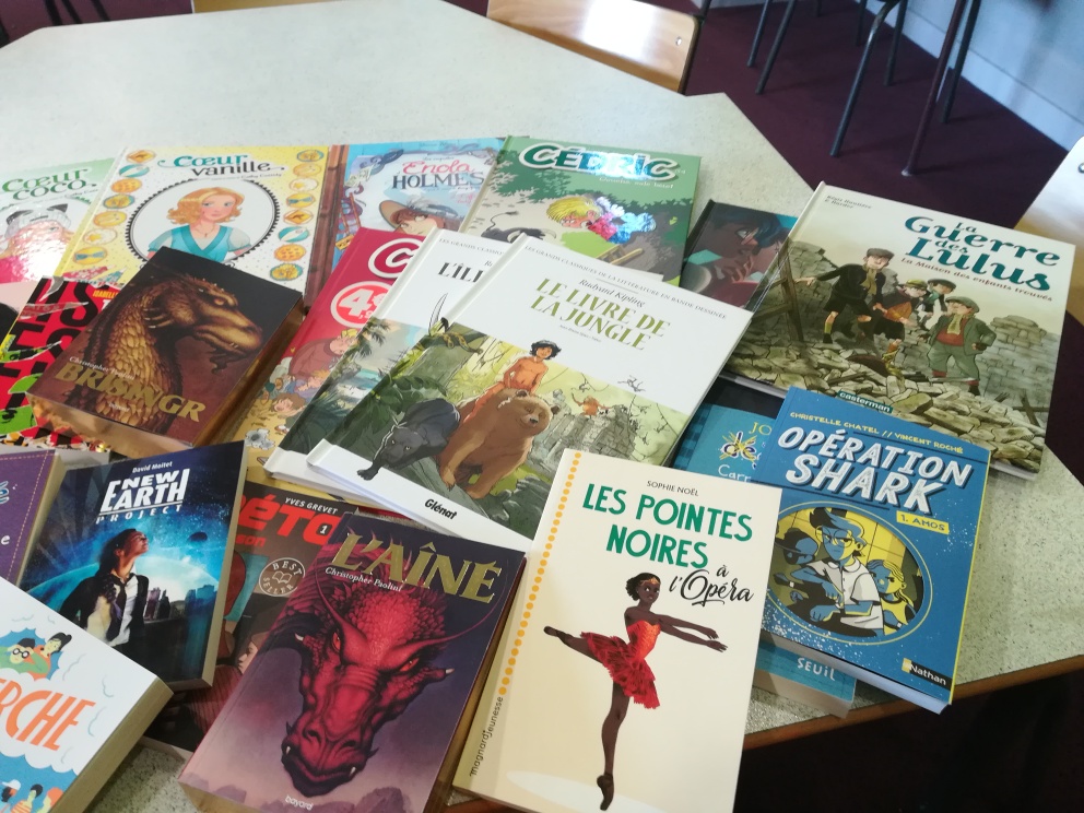 Achats de matériels d&rsquo;EPS et de livres et BD pour le CDI : Merci l&rsquo;APEL St Jo !
