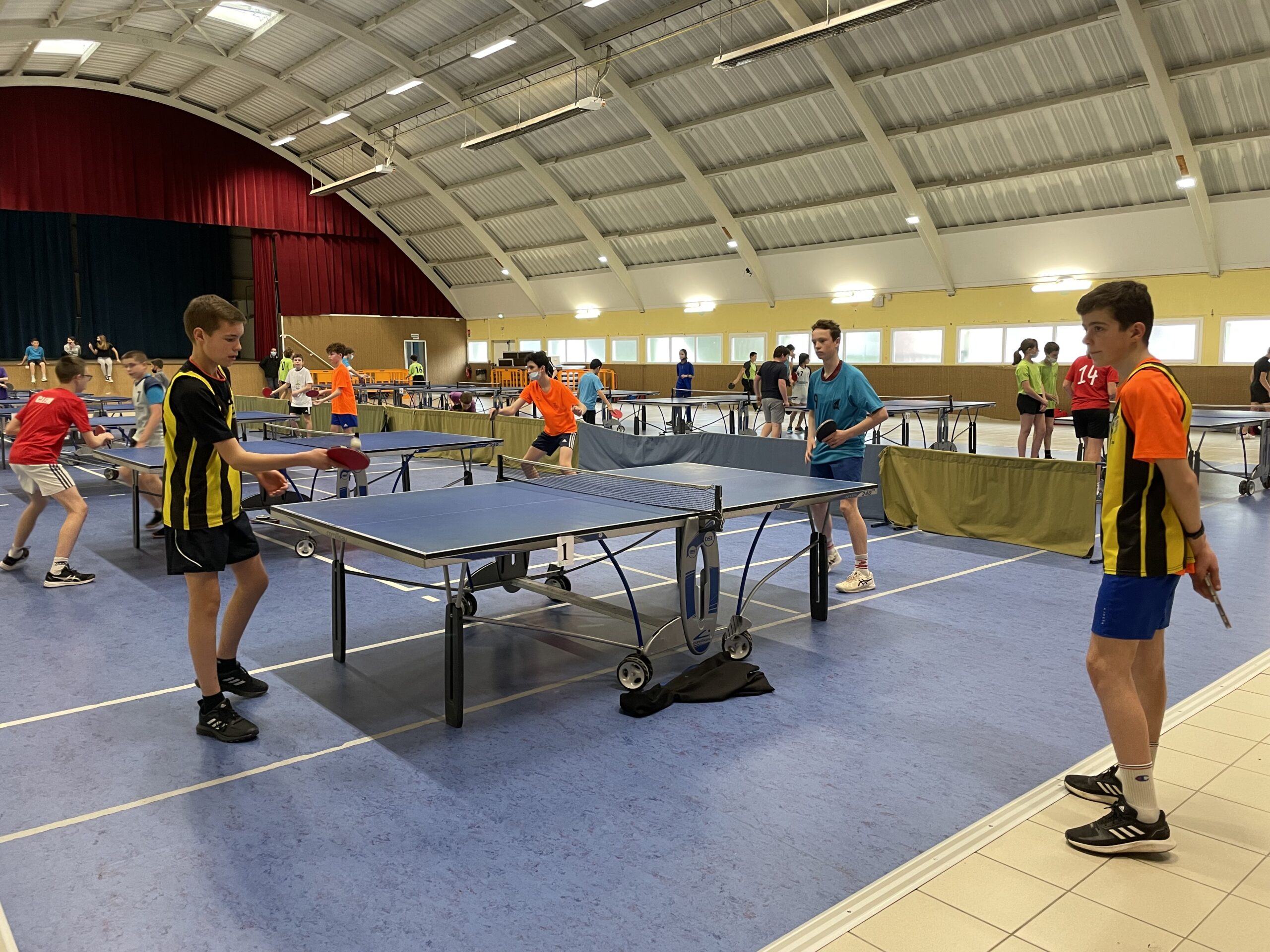 Tennis de Table Régional