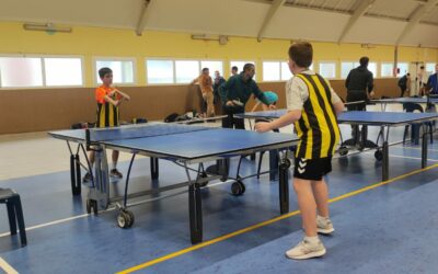 Tennis de Table régional m