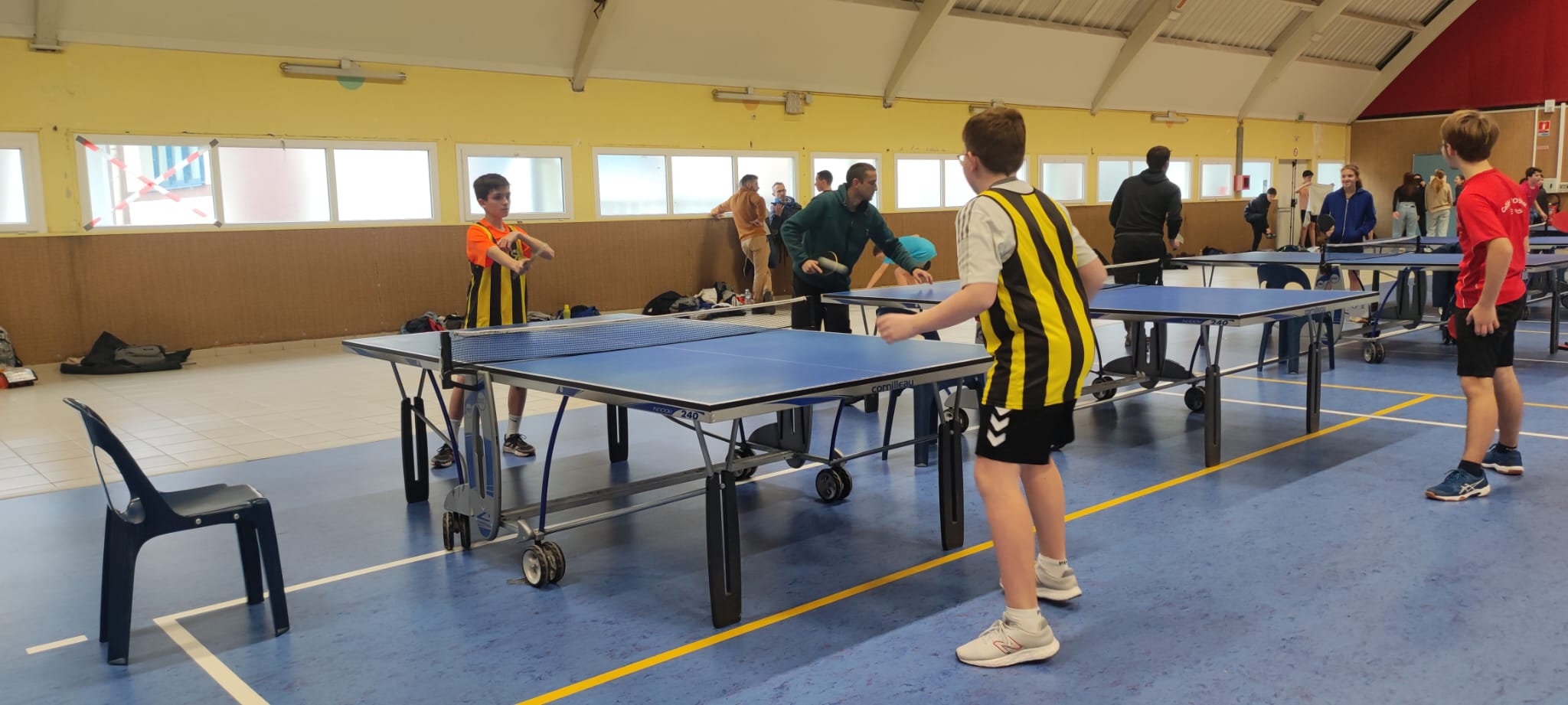 Tennis de Table régional m