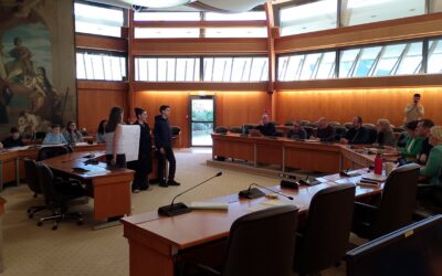 Conseil Départemental de la Vie Collégienne – 3è et dernière demi-journée