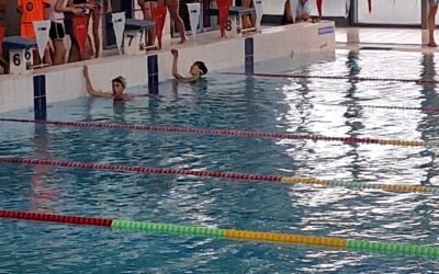 Poisson ou Papillon?