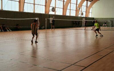 Volant en plumes tricolores!